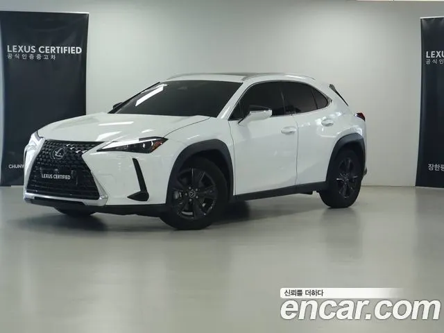 LEXUS UX300H 2027 — 885 км, белый-перламутр, Корея — под ключ — фото 11