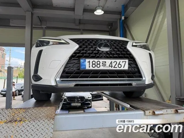 LEXUS UX250H 2024