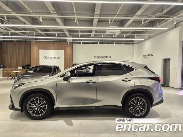 LEXUS NX450H+ 2026 — 9 494 км, серебристый, Корея — под ключ — фото 6