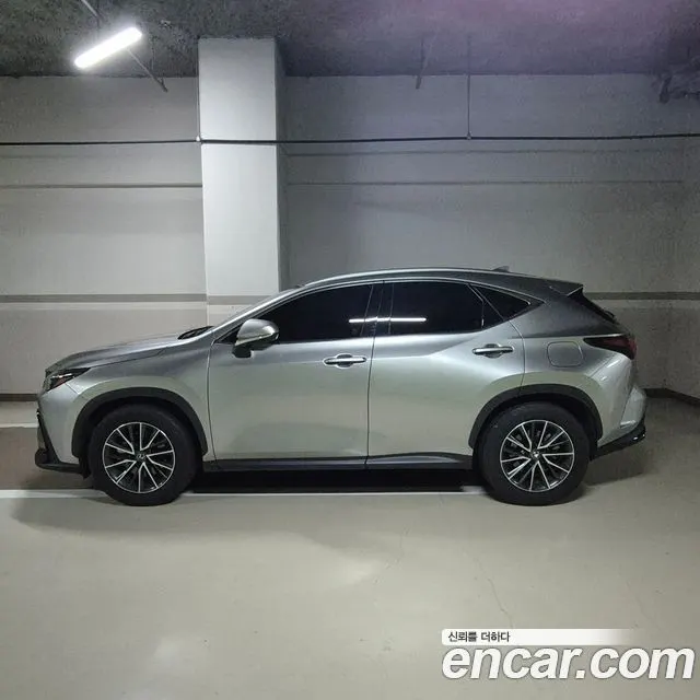 LEXUS NX450H+ 2024 — 17 600 км, серебристо-серый, Корея — под ключ — фото 2