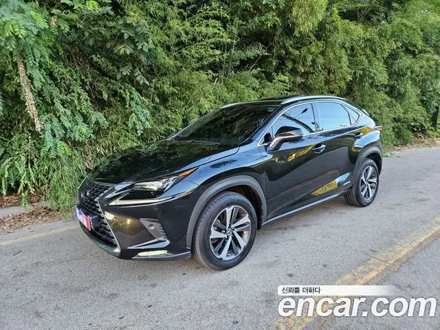 LEXUS NX300H — из Кореи под ключ