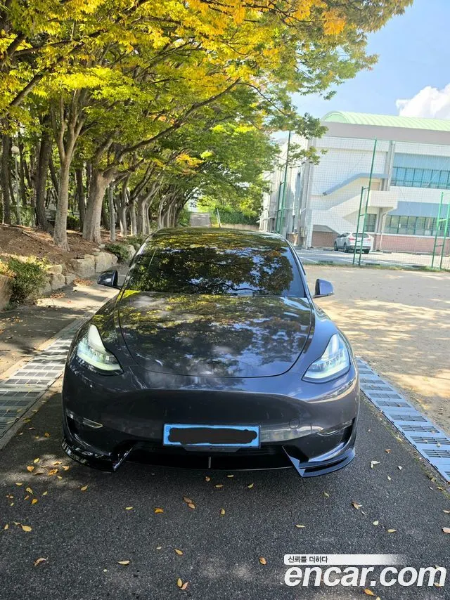 TESLA MODEL Y — из Кореи под ключ