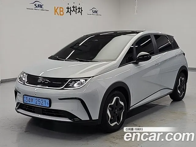 BYD DOLPHIN — из Кореи под ключ