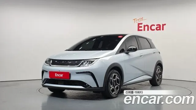 BYD DOLPHIN — из Кореи под ключ