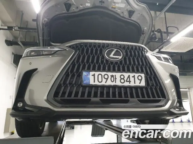 LEXUS NX350H — из Кореи под ключ