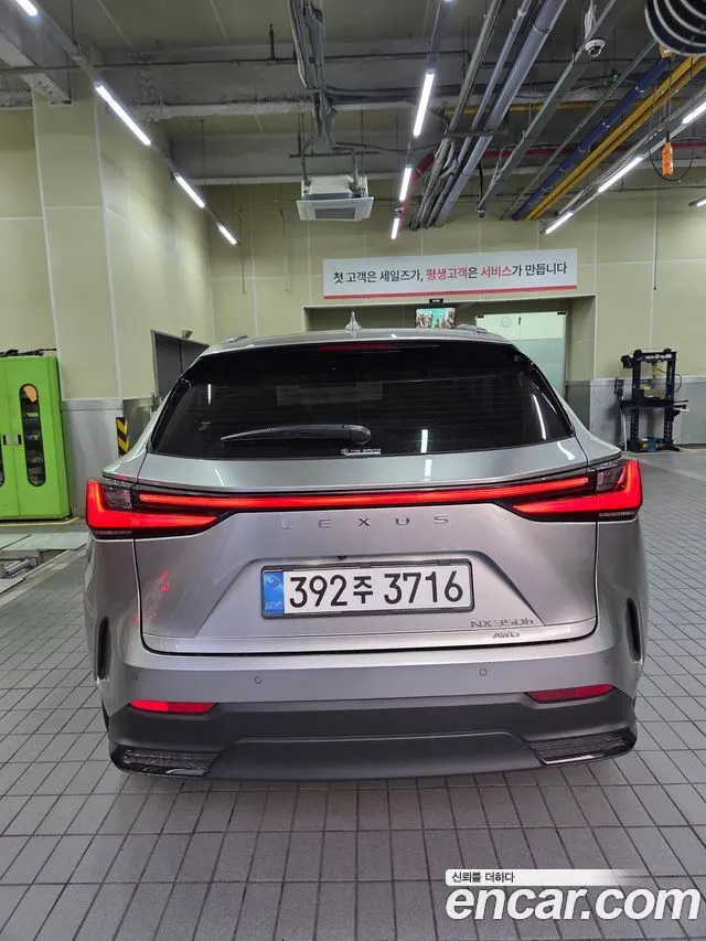 LEXUS NX350H 2025 — 21 300 км, серебристо-серый, Корея — под ключ — фото 2