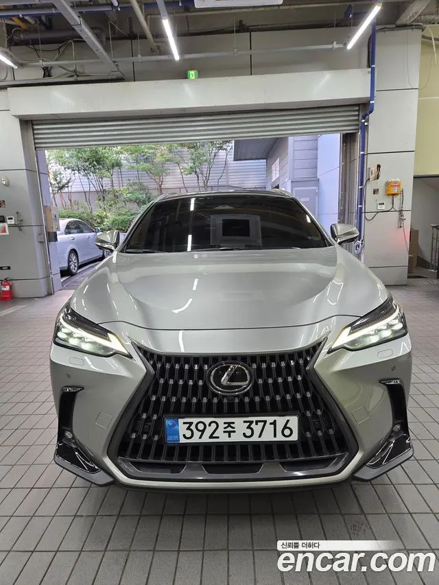 LEXUS NX350H 2025 — 21 300 км, серебристо-серый, Корея — под ключ — фото 12