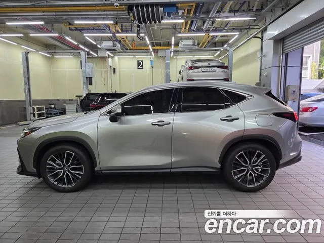 LEXUS NX350H 2025 — 21 300 км, серебристо-серый, Корея — под ключ — фото 4